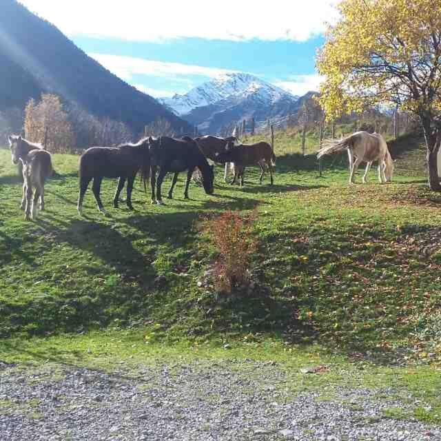 Les Chalets D'Aure. Aragnouet Eksteriør bilde